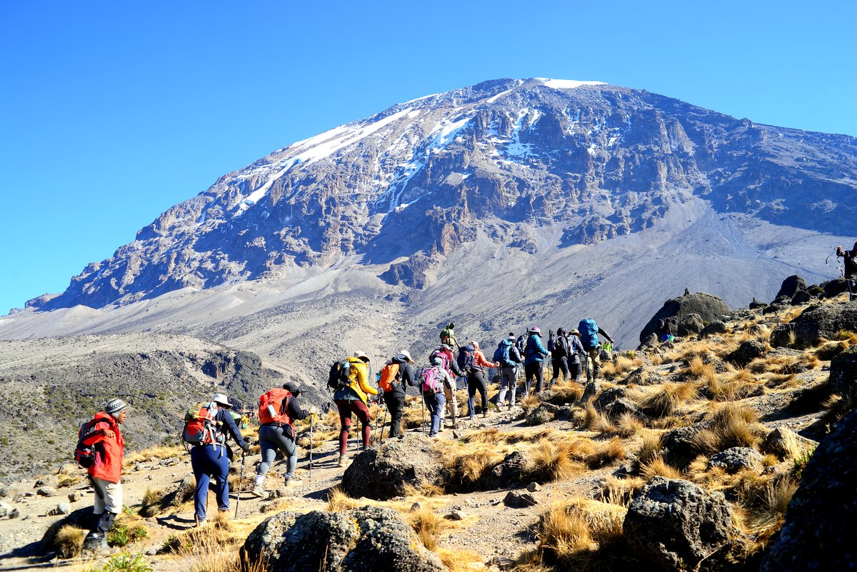 Climbers ascending with the Kibo peak behind them
