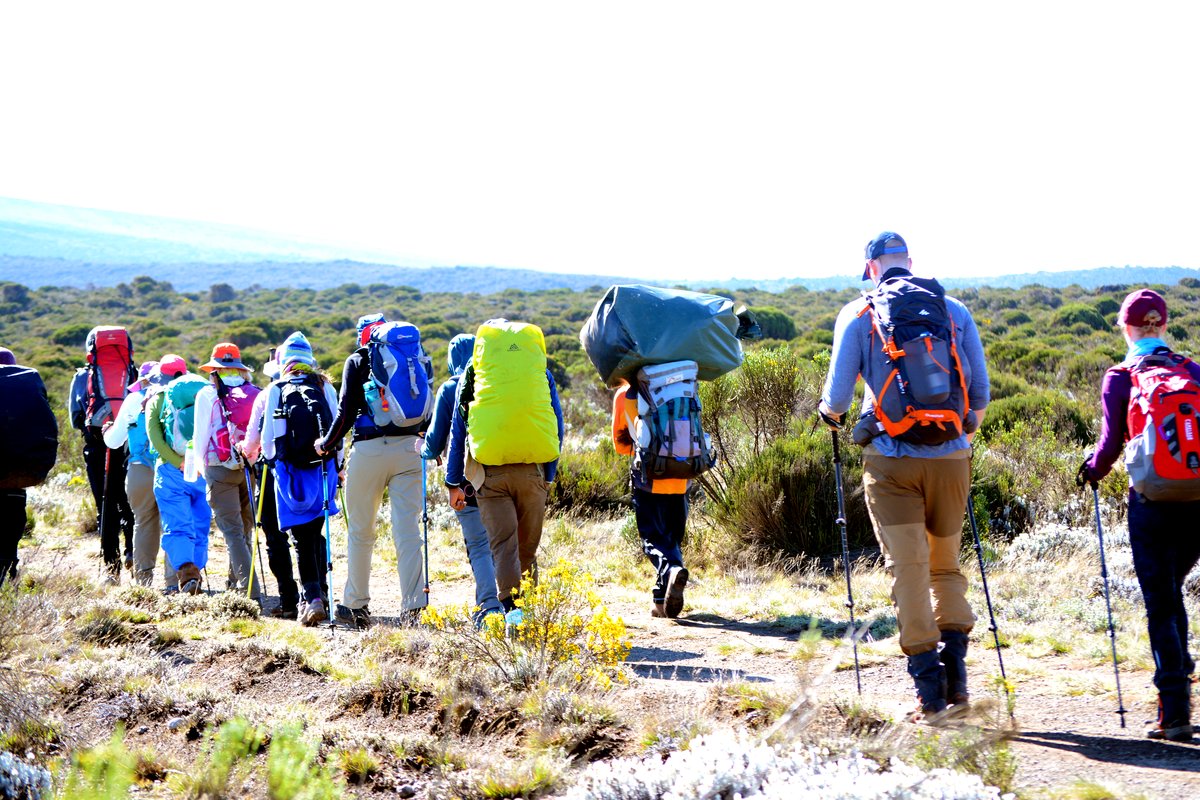 A wide view of climbers strung out along the trail