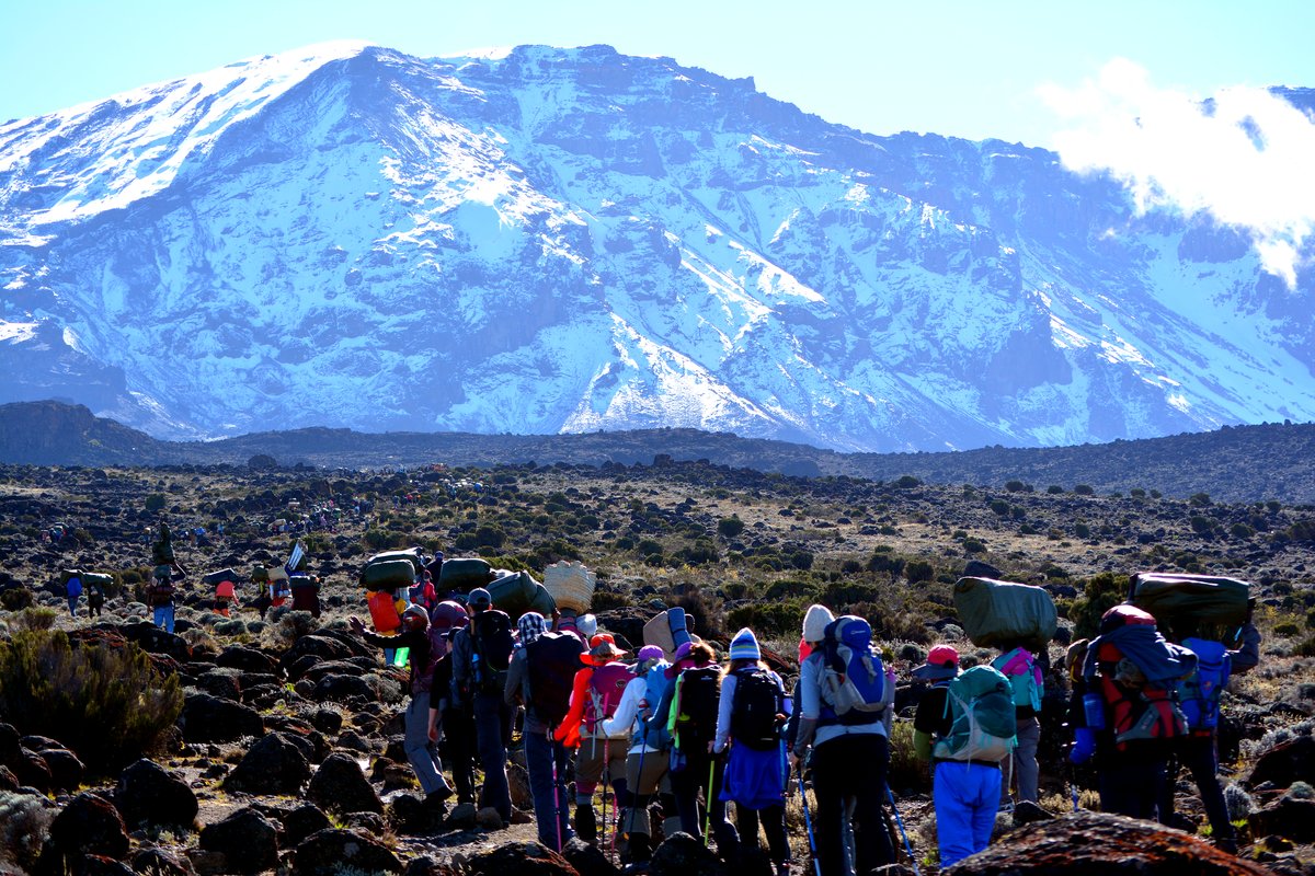 Kilimanjaro's glaciated summit rising above a sea of cloud at first light
