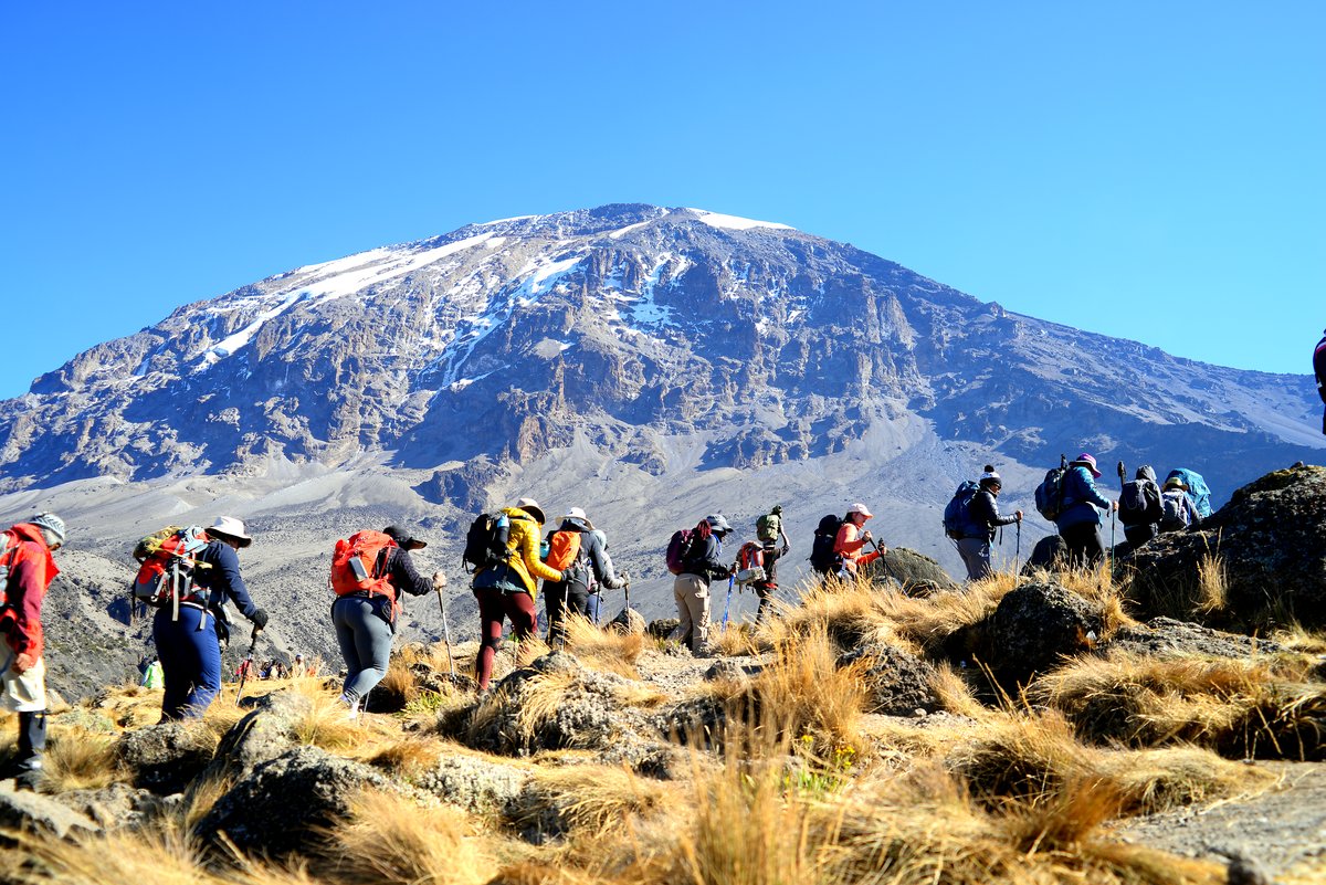 Climbing Kilimanjaro