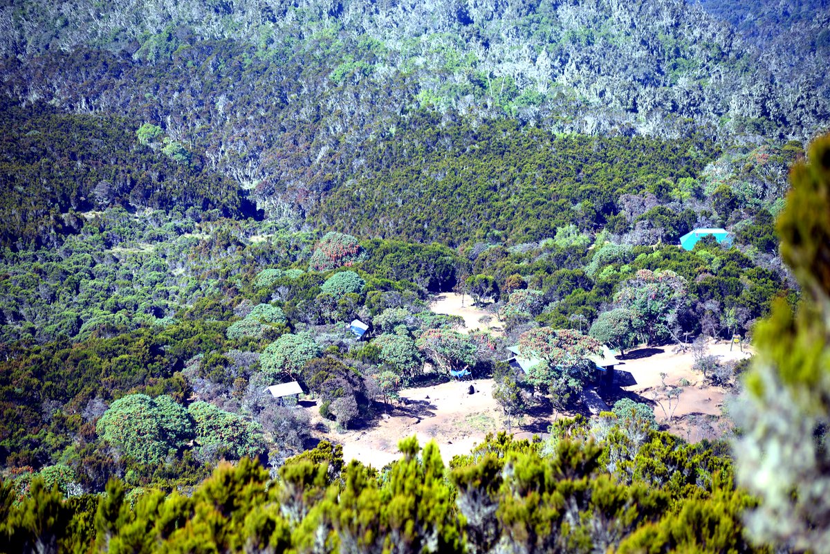 A high view over the moorland, the trail threading through it