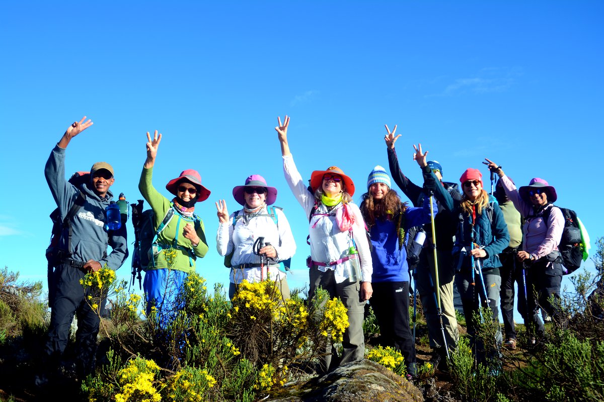 About Trek Up Kilimanjaro