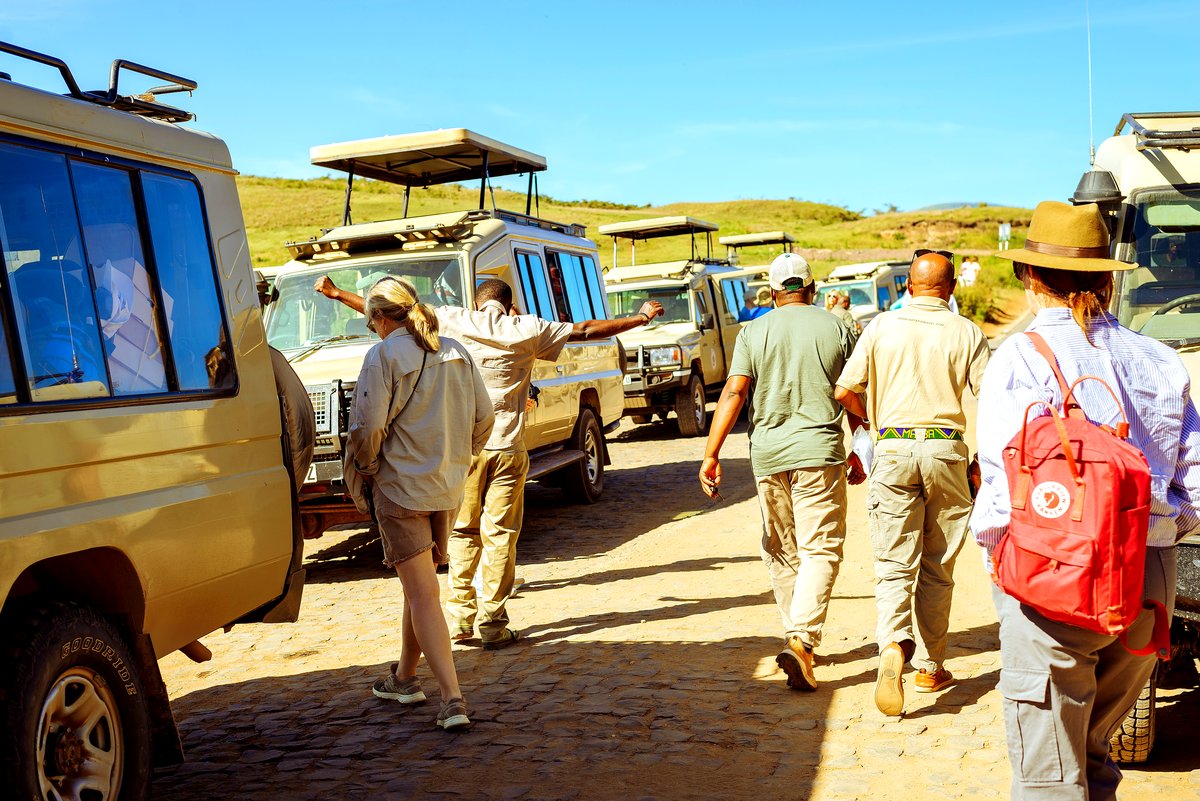 A group stretching their legs at a game-drive stop