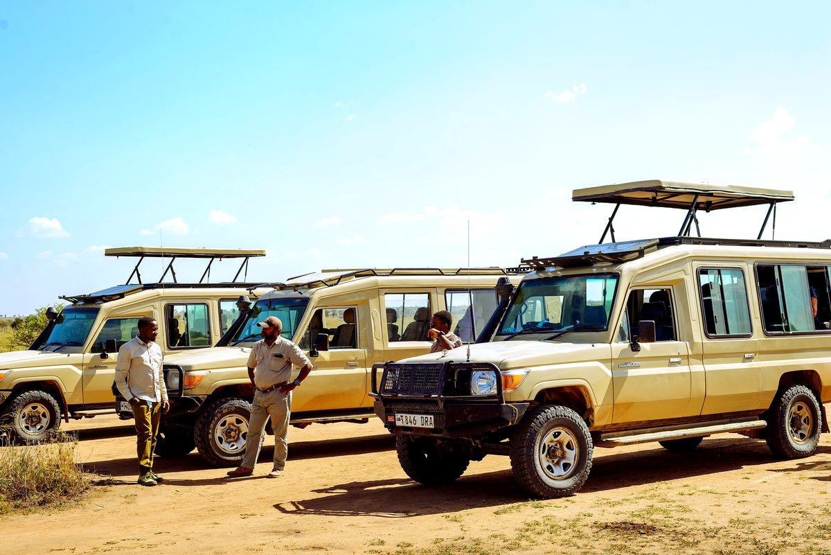 A convoy of safari vehicles on a Tanzanian park road